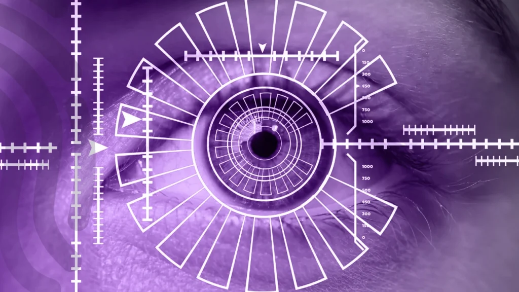 Biometrics-Confirmation-Systems