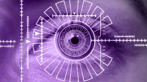 Biometrics-Confirmation-Systems