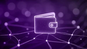 Digital-Identity-Wallets